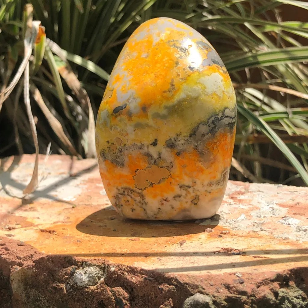 Bumble Bee Jasper