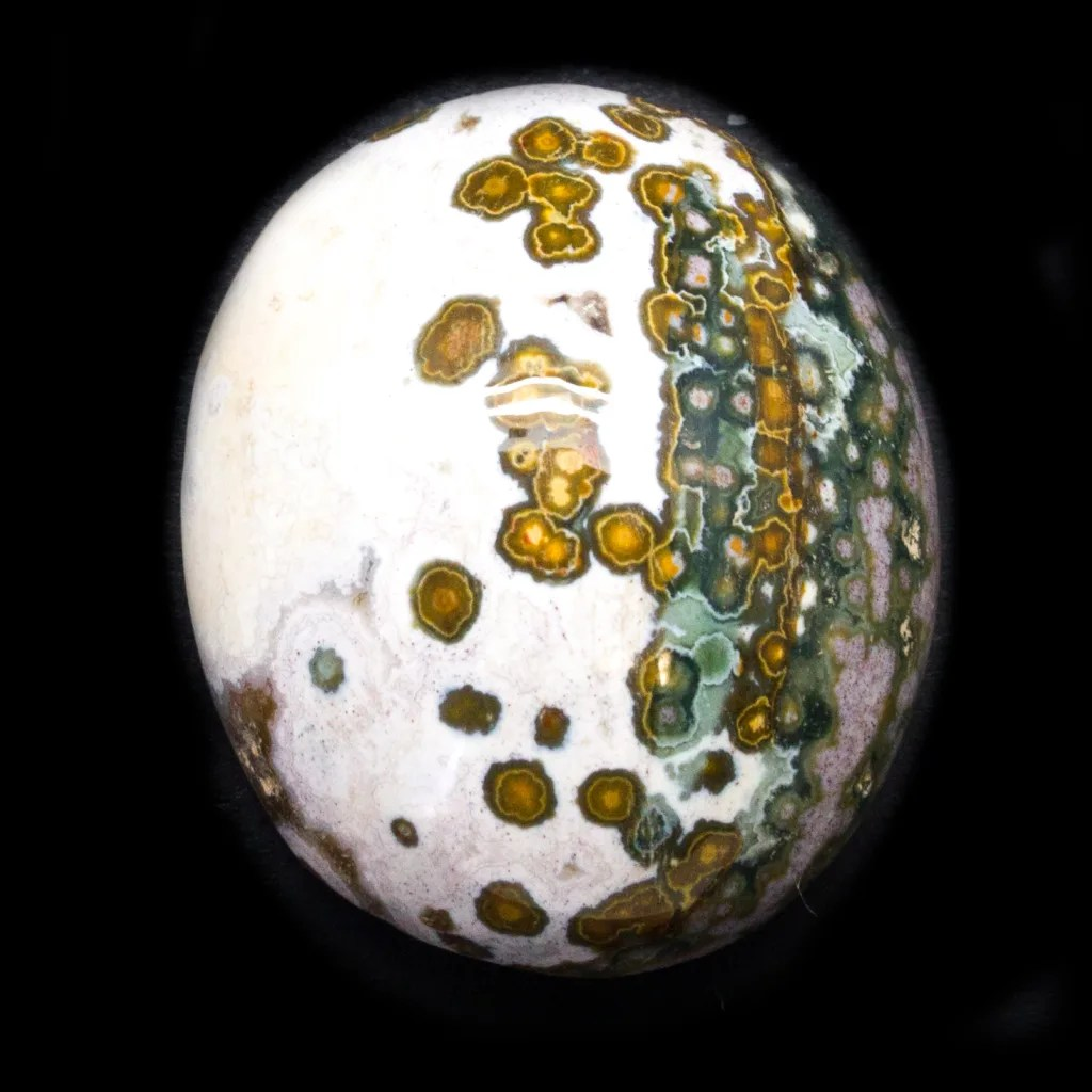 Orbicular Jasper