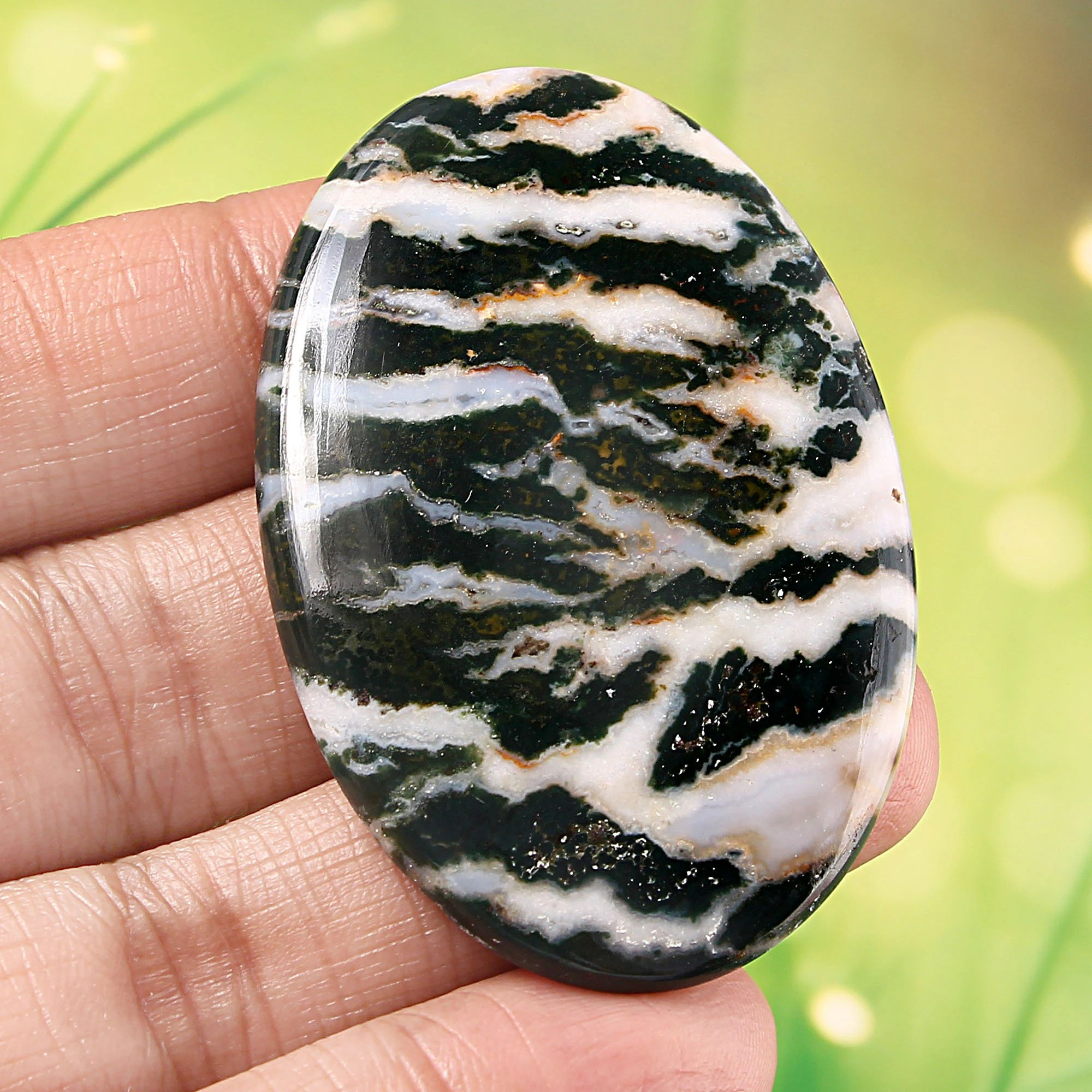 Zebra Jasper